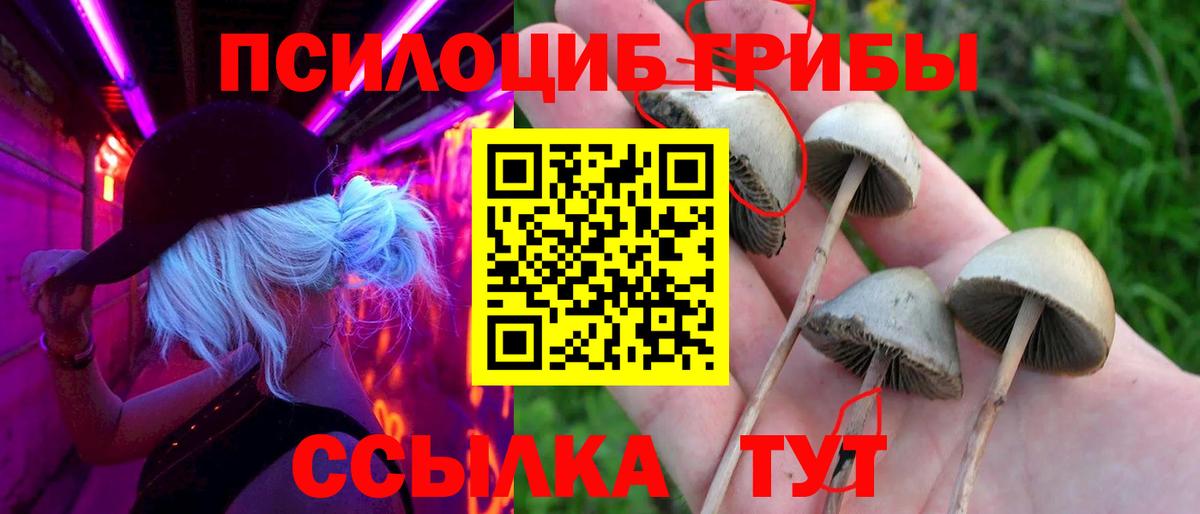 Галлюциногенные грибы мухоморы Каменск-Уральский